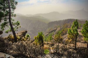 Pico de la Nieve - Gran Canaria